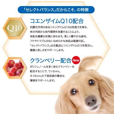 <a href="https://www.qoo10.jp/gmkt.inc/Search/brand.aspx?brandno=109498" target="_blank" class="title_brand" id="btn_brand" title="Select Balance ">Select Balance </a>セレクトバランス パピー ラム 小粒 子犬母犬用1kg