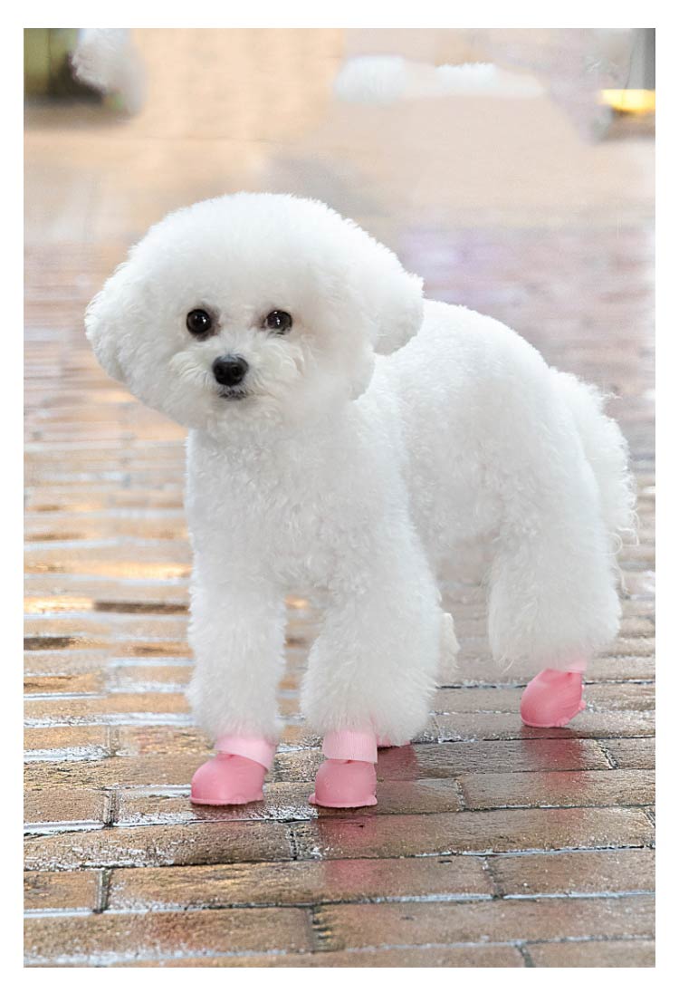 メガ割 滑り止め 脱げない レインシューズ ドッグシューズ 犬シューズ 靴 犬 ドッグブーツ 犬靴 雨靴 お散歩 犬用シューズ 肉球保護 シリコン素材 レインブーツ 柔らかい ドッグレインシューズ 軽