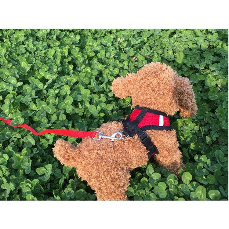 新商品プロモーション,数量限定 ペット用 犬用 ハーネスとリード2点セット 全8色 S M L XL ペット用品 型ハーネス(胴輪)&リード(引き綱) ボディストレス軽減ペット用 犬用