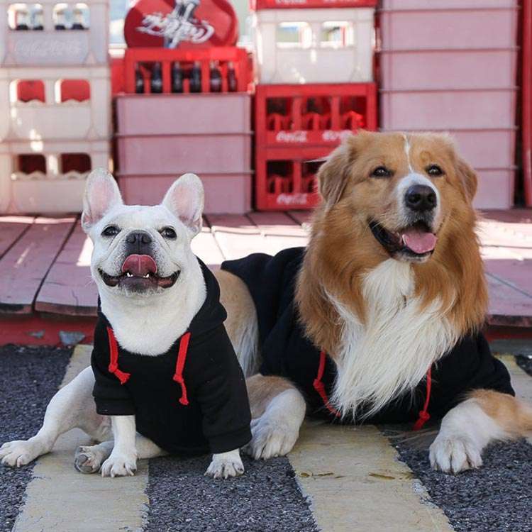 メガ割 無中型チェック薄ドッグウエパーカ大型フード付猫犬XS-6スウェッお散小型おしゃ可愛大きいサイ小さいサイズ