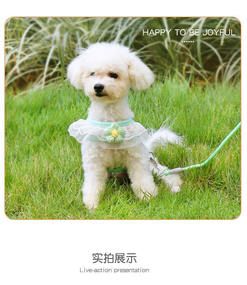 犬の牽引紐は犬のチェーンの小型犬のペットの胸の帯のテディの熊の子犬を散歩します