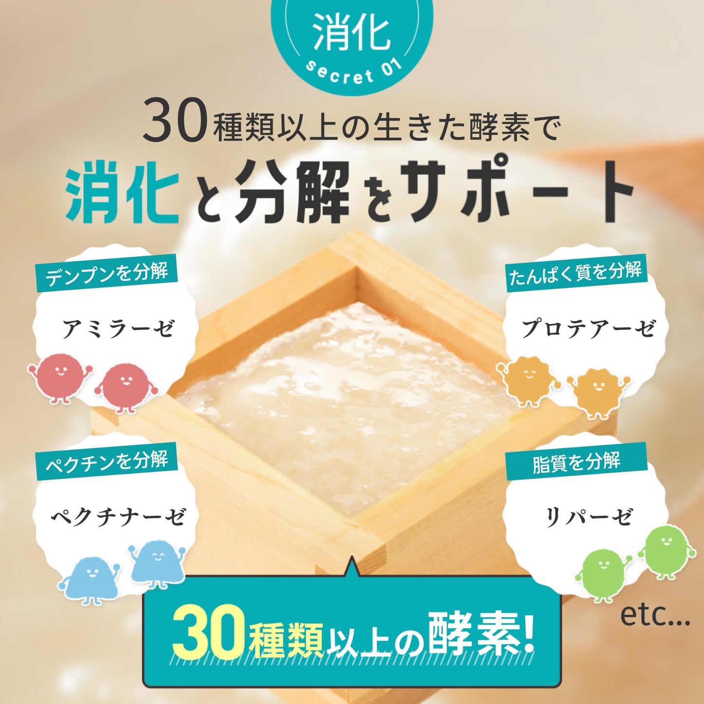 【獣医師監修】 あいこな 犬 サプリ 腸活 腸内環境 整腸 皮膚 お腹の健康維持 犬 猫 乳酸菌 モリンガ 食物繊維 酵素 サプリメント 60g