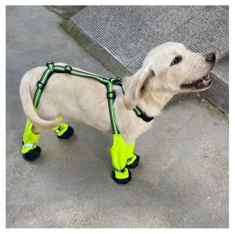 新製品が出回る サスペンダー付き 屋外四本足パンツ スペンダー付き犬用パンツ 調節可能 脱げない 犬用レッグカバー 脱げない 犬用ブーツ 犬服 レインパンツ 犬用レッグカバー 肉球保護 汚れ防止 梅雨