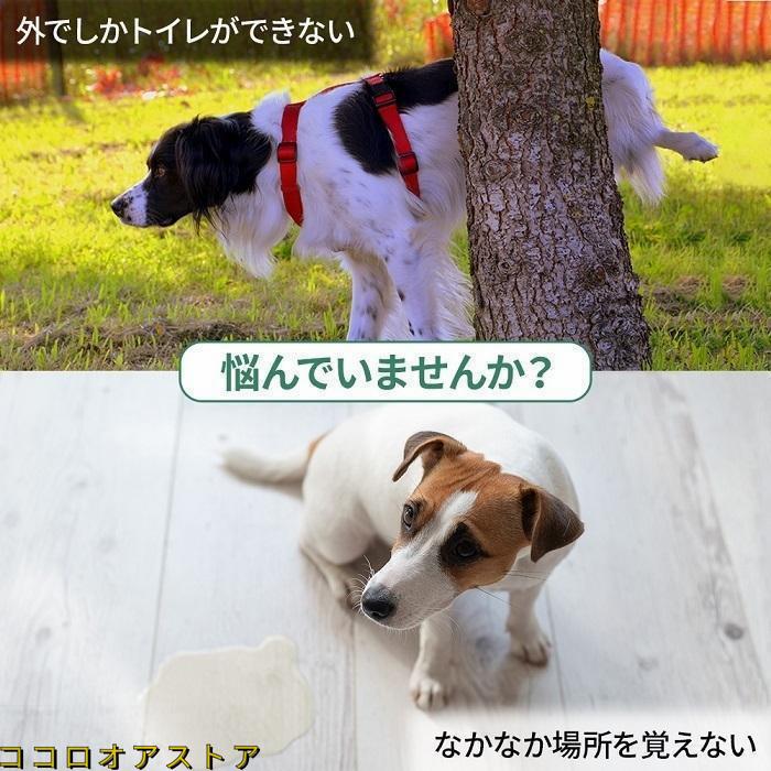 工ガ割-ペットトイレ 人工芝 ペットマット しつけ 犬用 犬用トイレ 小型犬 トレーニング 人工芝マットペットトイレシート 人工芝トイレ 人工芝生