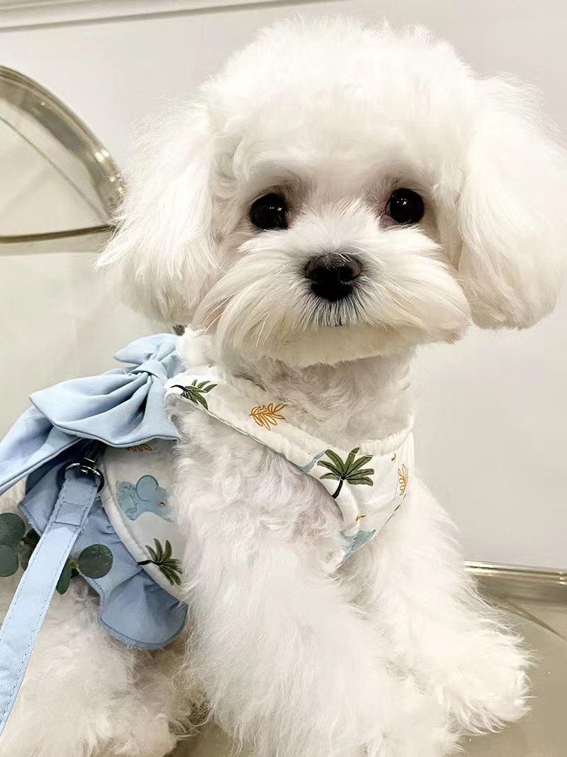 犬の三用牽引ロープの蝶結びの半分のベスト式の屋外の胸の紐は熊のテディのペット用より大きいです