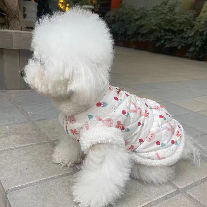 秋冬の犬服 テディボーミペットのコキシナレビーベア愛らしい 犬猫服秋冬服 パープル セーター 可愛らしい 暖かい野球服 冬アウター