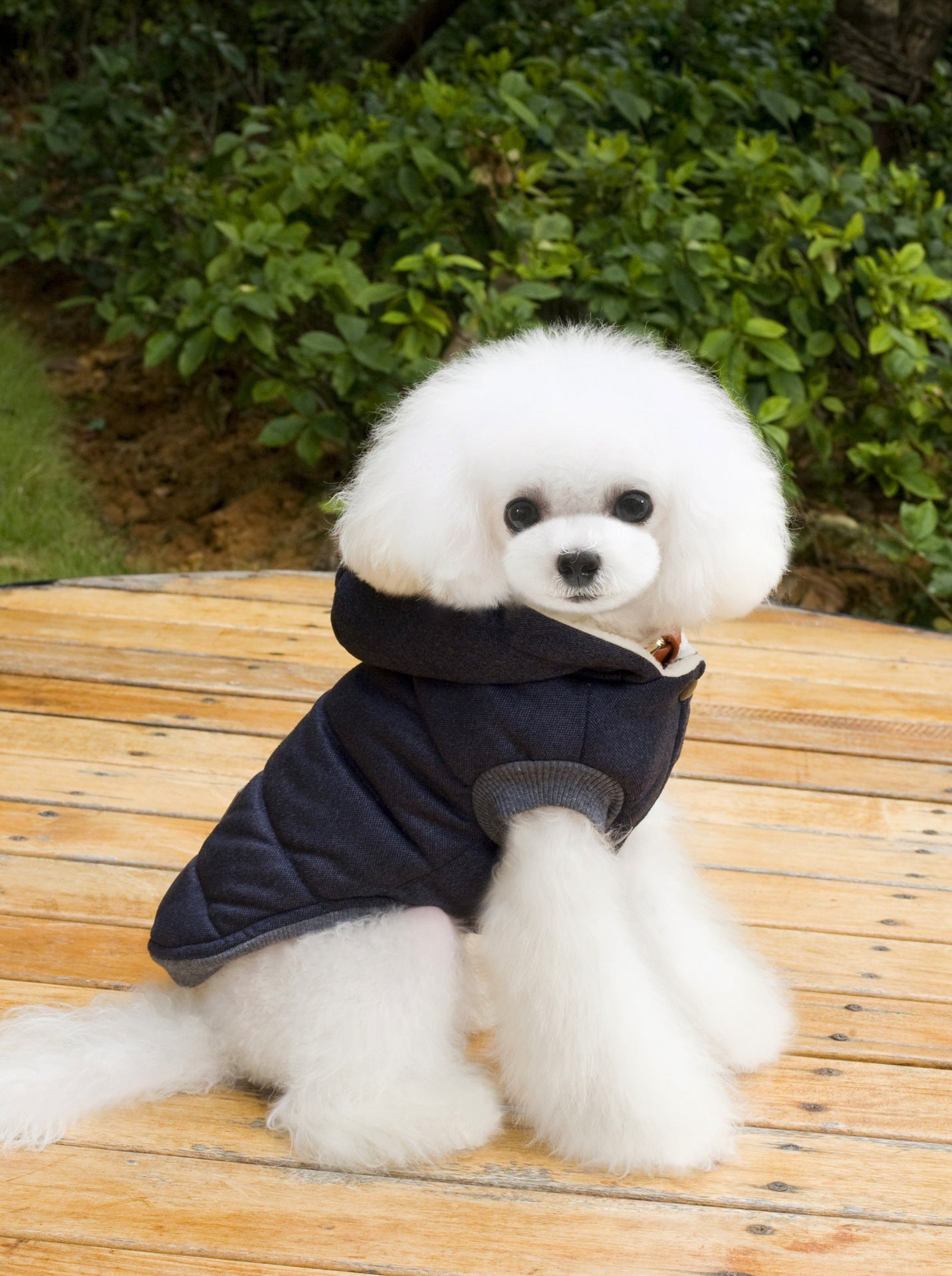 猫 犬 洋服 犬服 ペット服 大中小型犬 ペット用品 犬/猫用 犬の服 ペットウエア 小型犬 中型犬 通気 可愛い ドッグウェア トレーナー 犬 服 ワンピース サロペット ビションフリーゼ 犬猫服