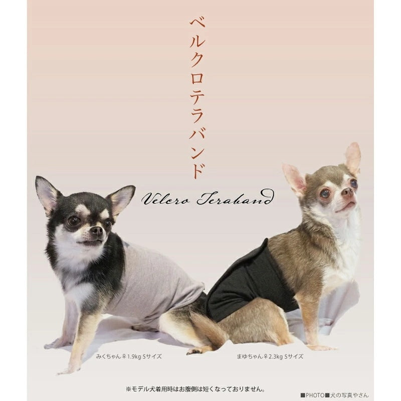 <a href="https://www.qoo10.jp/gmkt.inc/Search/brand.aspx?brandno=125763" target="_blank" class="title_brand" id="btn_brand" title="Coo Couture">Coo Couture</a>テラヘルツワンベルクロテラバンド男の子用ペット介護用品 犬用 腹巻 小型犬 シニア犬 犬服 テラヘルツワン 日本製 メール便1点まで 1メ-2運 7220 【T】