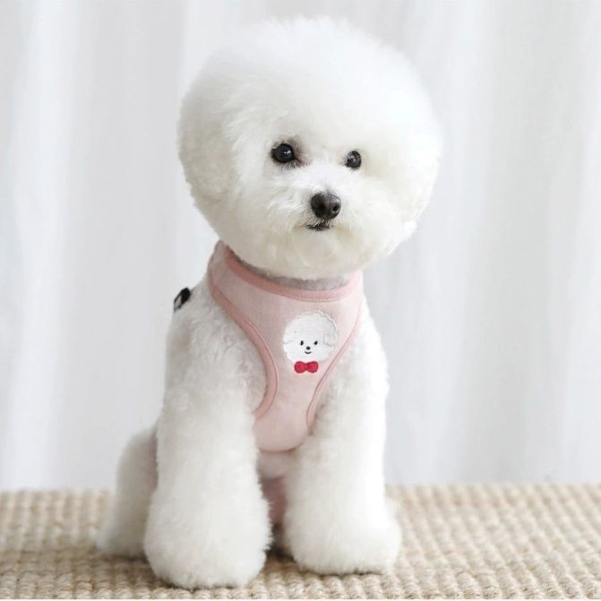 新しい犬の牽引紐のベスト式の子犬の背もたれのテディ犬のペットの胸の背もたれは犬の牽引紐を散歩します メガ割ワンピースパンツトートバッグ