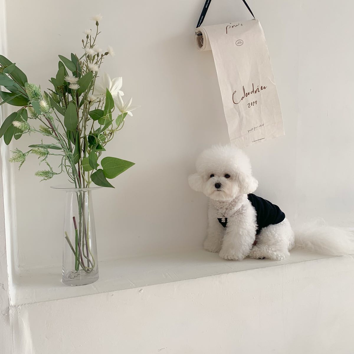 春夏新作 犬服 ペット服 犬 洋服 ペット 犬用品 小中型犬 春夏薄手犬服猫小型犬キャミソールベスト