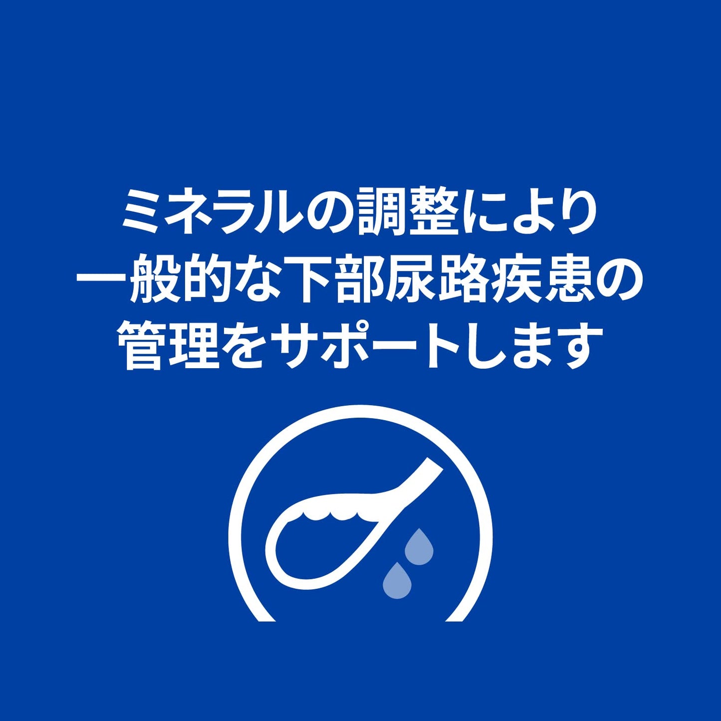 ドッグフード ウェット c/d シーディー マルチケア 缶詰 チキン&野菜入り 尿ケア 犬用 特別療法食 156gx24缶