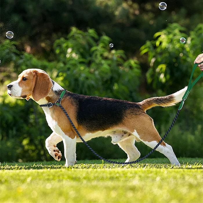 長さ1.8m しつけ用首輪 訓練リード 首輪一体型 犬リード ペットグッズ 反射素 調節可能 リード 犬用 ロープ 引っ張り防止リード スリップリード 散歩 犬用品
