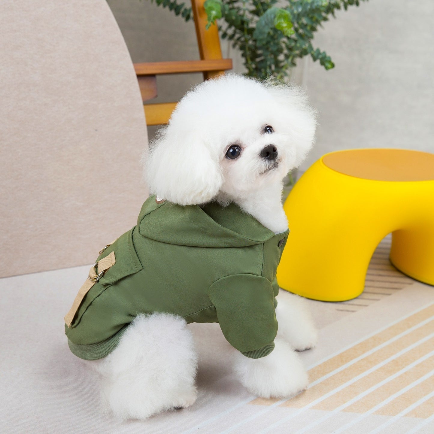 人気犬の服ペットの服小型犬猫は涼しい風に代わって秋と冬の暖かい快適さを着ることができる二本足の綿のジャケット
