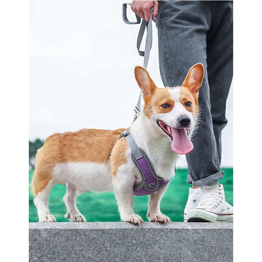 丈夫 ハーネス 大型犬 ハーネスリードセット犬用 小型犬 リフレクター付き 通気性 頑丈 2点 かっこいい 反射素材 犬 負担軽減 サイズ調整 衝撃緩和 中型犬