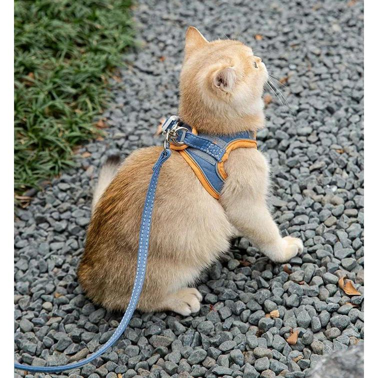 新商品プロモーション,数量限定 犬 猫 ハーネス リード付 カラフル ツートン ウェアハーネス ペット 服 胴輪 キャット ドッグ犬 猫