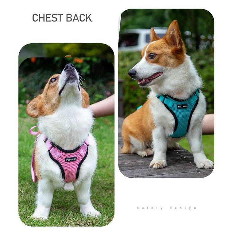 新商品プロモーション,数量限定 猫 犬 ハーネス ペット 服 フルカバー ウェアハーネス 胴輪 キャット ドッグ メッシュ猫 犬