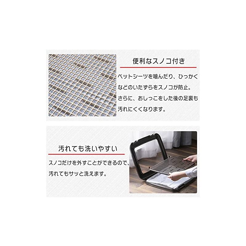 【即納】アイリスオーヤマ 犬 トイレ メッシュカバー付 フチもれしにくいトレーニングペットトレー レギュラー 銀イオン配合 抗菌 アイボリー