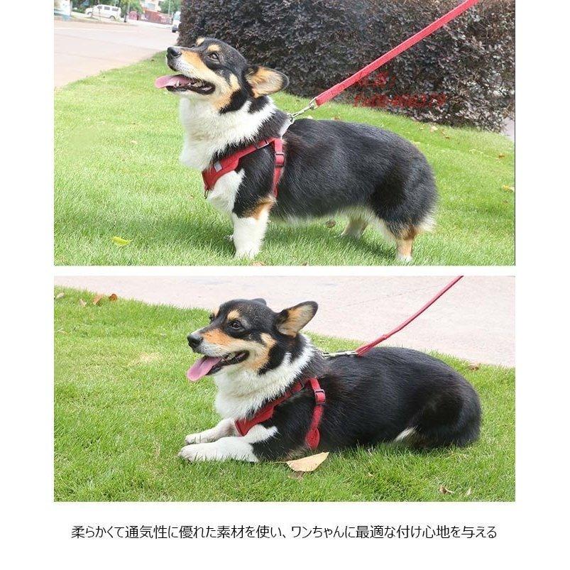 ハーネスリードリードハーネス2点セット反射胴輪ベストセットアップキャットウェアドッグウェア犬服シンプル小型犬猫服ペット服