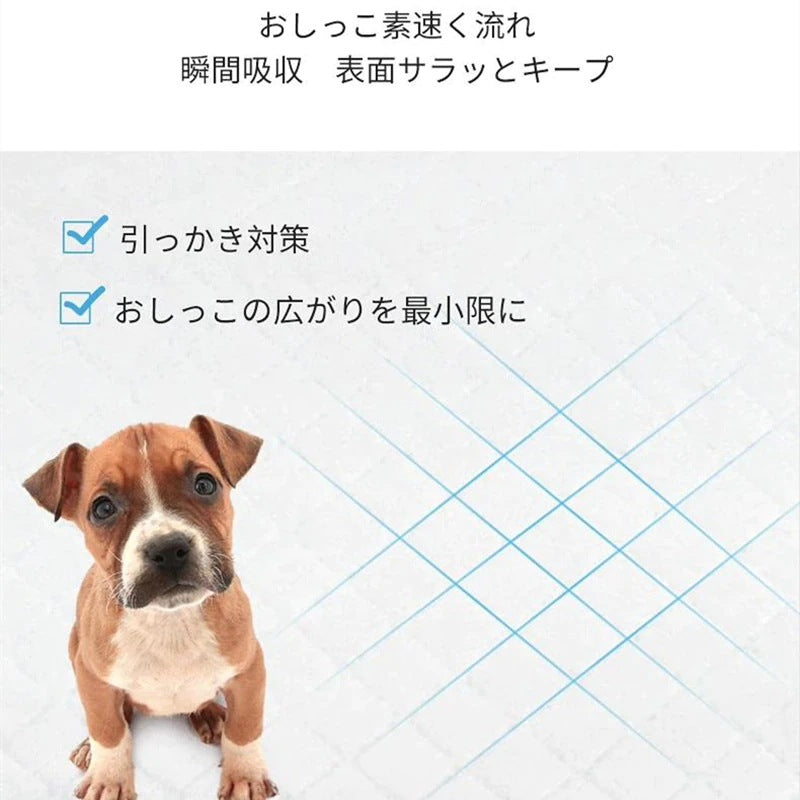 <a href="https://www.qoo10.jp/gmkt.inc/Search/brand.aspx?brandno=109151" target="_blank" class="title_brand" id="btn_brand" title="Honeycare">Honeycare</a>ペットシーツ 中厚型 ペットシート香り付き 香り選択可 サイズ選択可 レギュラー ワイド スーパーワイド