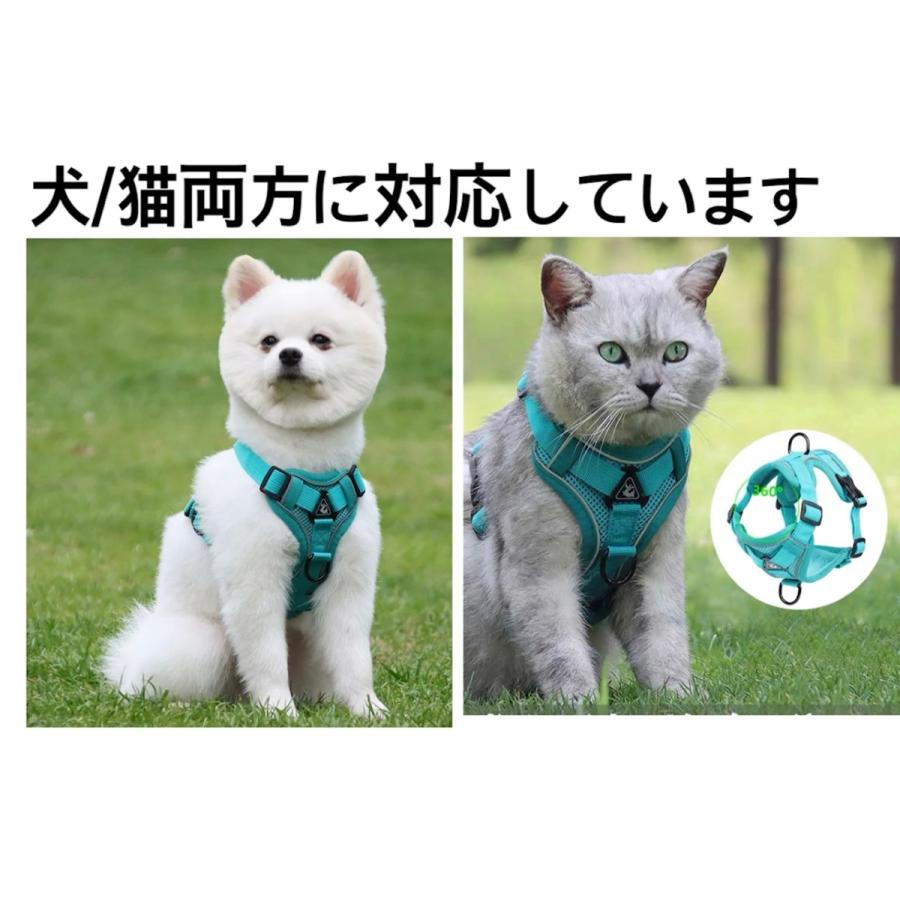 新商品プロモーション,数量限定 犬 犬ハーネス ハーネス リード付き 犬用 猫用 ペット しゃれ 脱げない かわいい 小型 中型 大型 メッシュ 胴輪 散歩 簡単装着 軽量 春 夏 秋 冬 かわいい