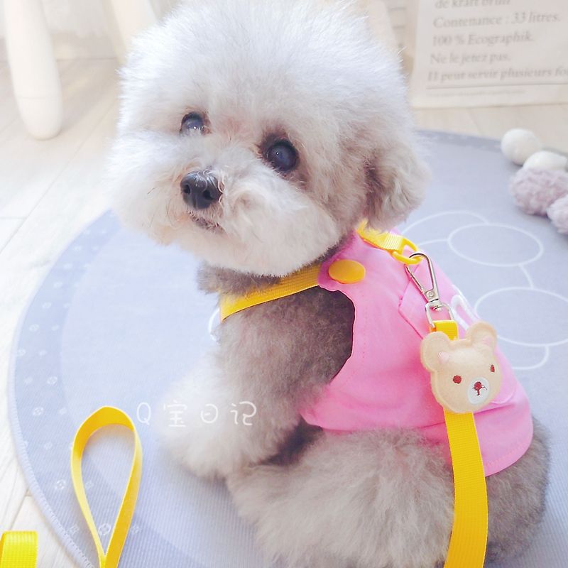 ペットの猫の小型犬のテディの犬の胸のストラップの牽引ロープのベスト式のドッグランの犬のひものかっこいいかわいい衝突色 メガ割ワンピースパンツトートバッグ