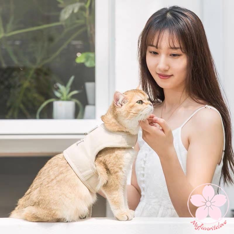 超目玉新品 ペット 服 安い 犬 春 夏 秋 冬 ハーネス ウェア かわいい 可愛い ハイブランド 猫 ドッグウェア