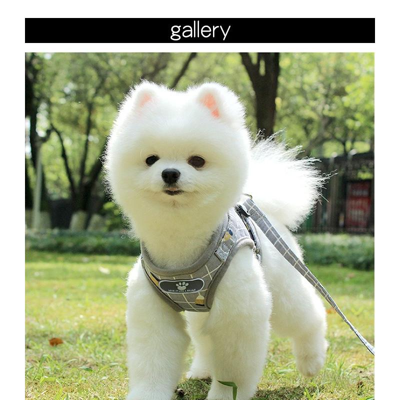 猫 メッシュ ドッグ ウェアハーネス キャット ペット ハーネス 服 リード付 胴輪 犬