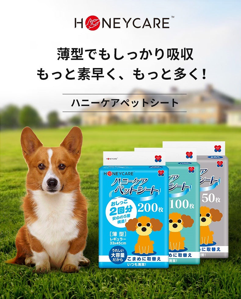 <a href="https://www.qoo10.jp/gmkt.inc/Search/brand.aspx?brandno=109151" target="_blank" class="title_brand" id="btn_brand" title="Honeycare">Honeycare</a>ペットシーツ 薄型 ペットシート 犬猫 サイズ選択可 レギュラー800枚 ワイド400枚 スーパーワイド200枚
