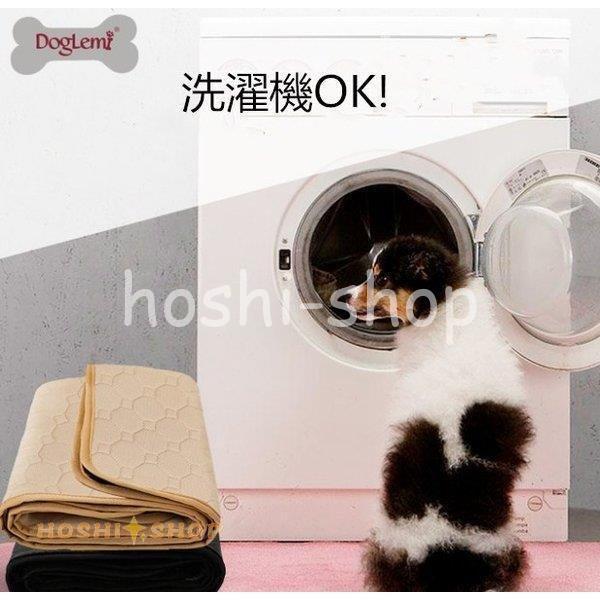 数量限定 犬用 トレーニングパッド ペットシーツ 洗える トイレ下敷きマット 速乾 洗える 選べる 3サイズ2カラー (SサイズMサイズ)