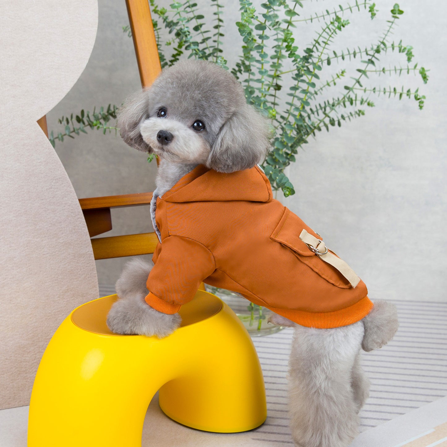 人気犬の服ペットの服小型犬猫は涼しい風に代わって秋と冬の暖かい快適さを着ることができる二本足の綿のジャケット