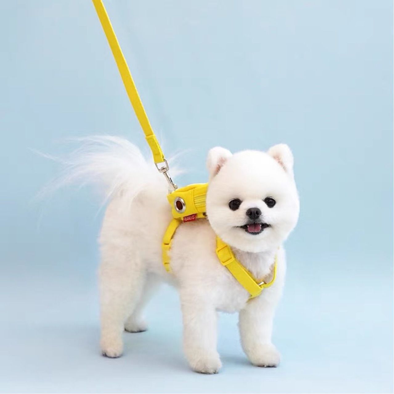 犬の牽引紐夏の涼しいタイプのかわいいスヌーピー胸のベルトは犬のリュックサックを散歩します