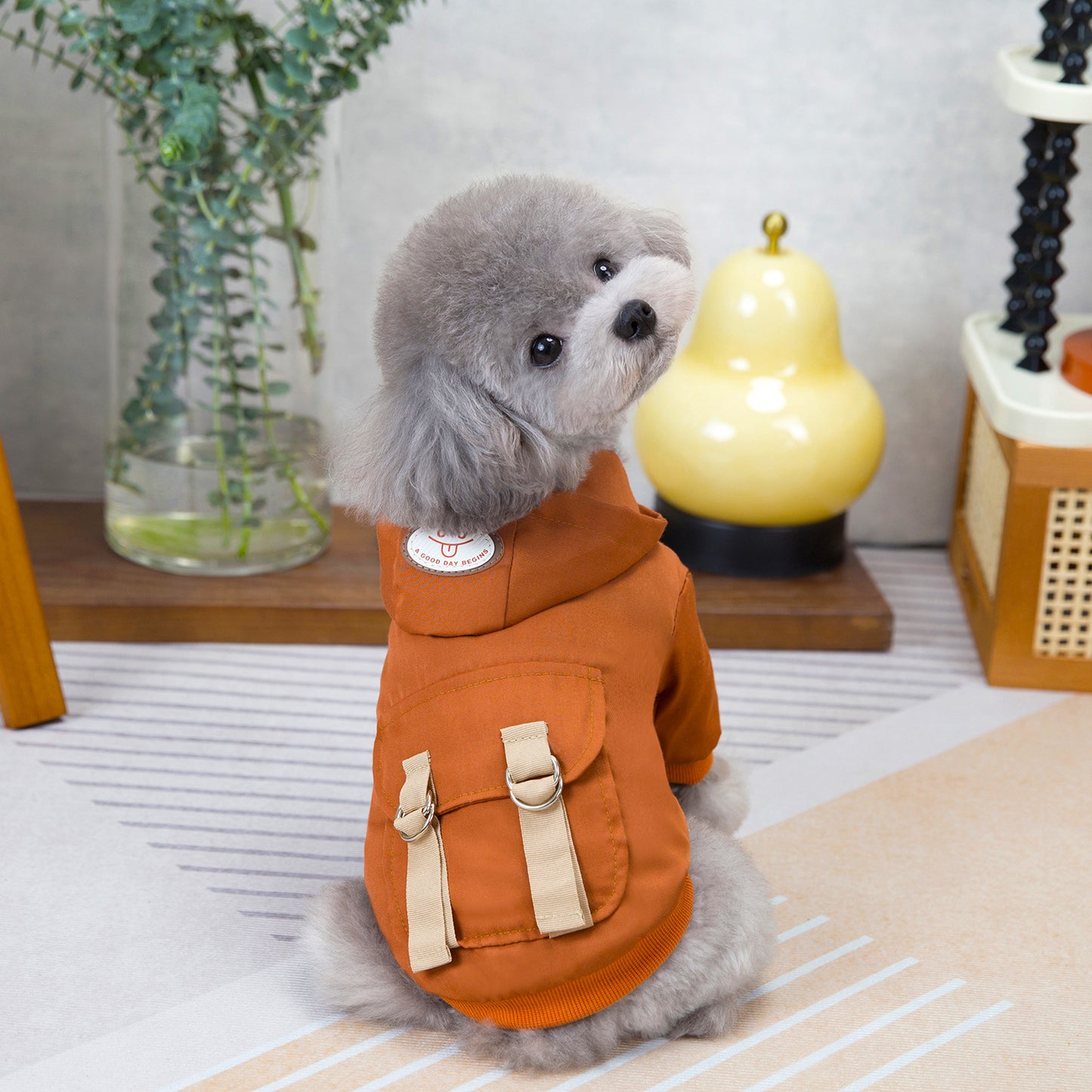 人気犬の服ペットの服小型犬猫は涼しい風に代わって秋と冬の暖かい快適さを着ることができる二本足の綿のジャケット