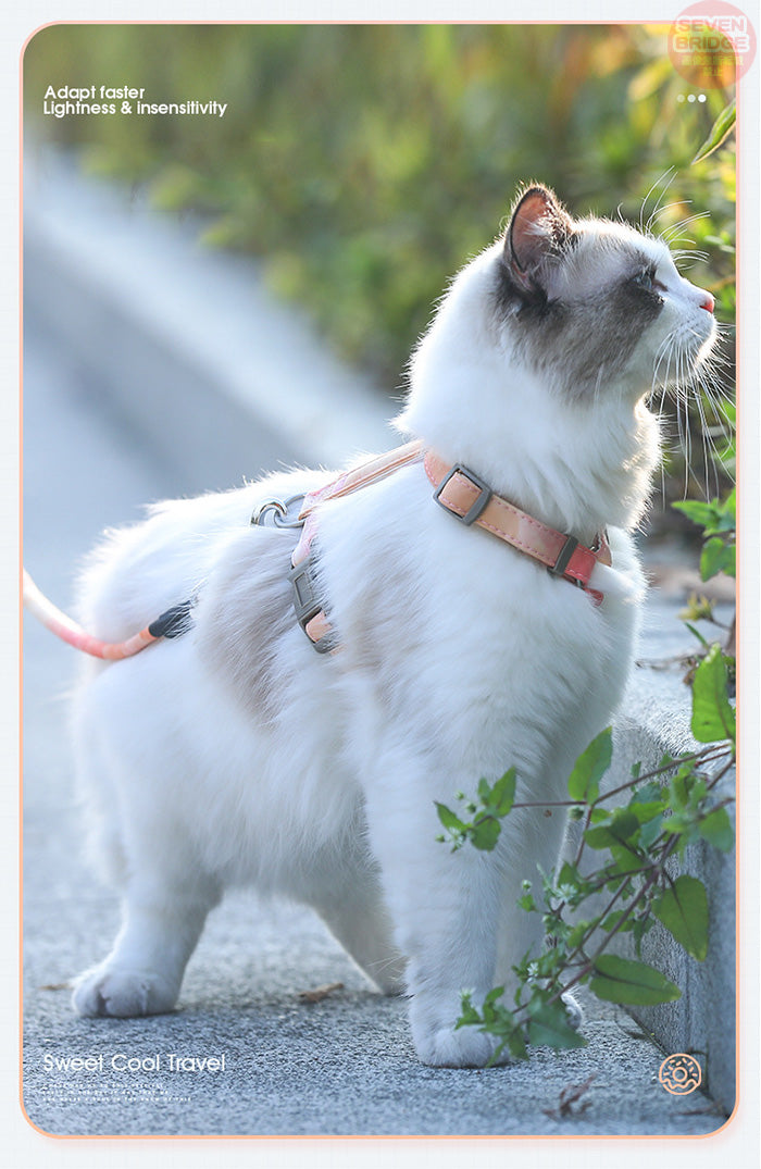 ハーネス ウェアハーネス 猫 脱げにくい キャット リード付 胴輪 犬 ドッグ 服 カラフル 体に優しい ペット