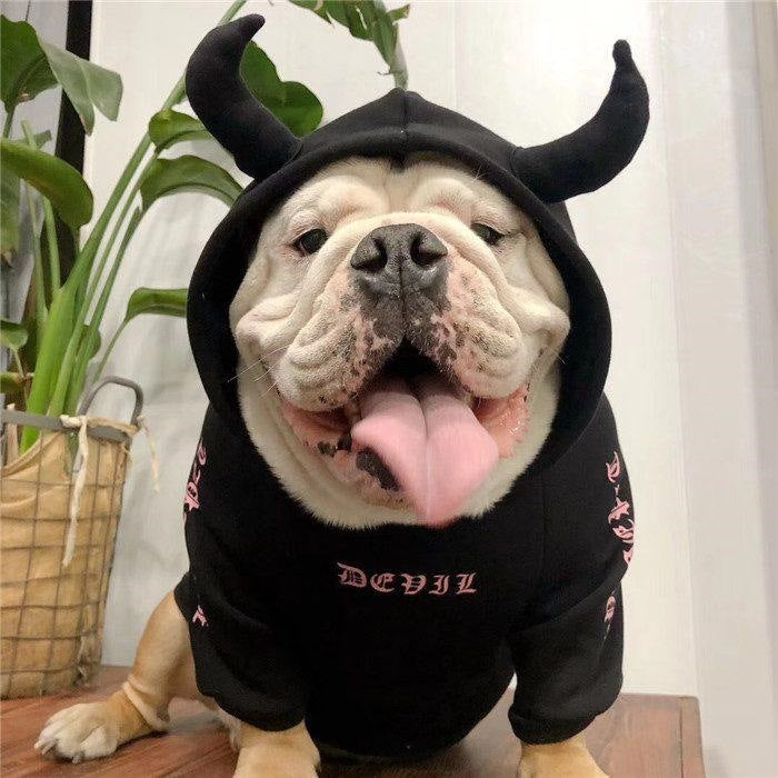 犬 服 デビル ハロウィン コスプレ フレブル服 裏起毛パーカー フレンチブルドッグ ペットウェア
