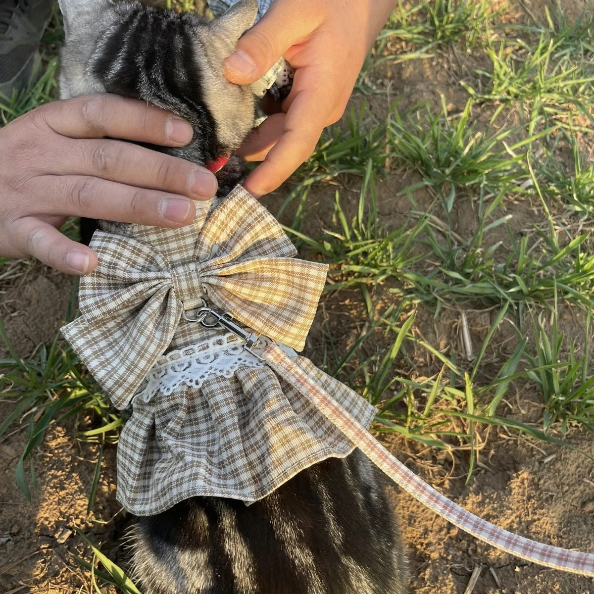 新型の猫の犬のクロミの牽引縄は外出して仕事の字を引きずることを防止します メガ割ワンピースパンツトートバッグ
