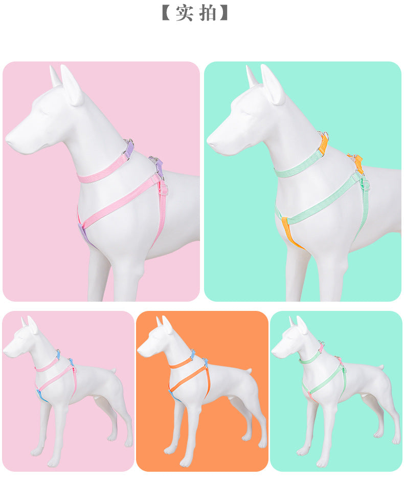 コントラストカラー ペットリーシュ マカロン カラーマッチング ペットチェストストラップ 防爆 赤 犬 リーシュ ヒート ペット