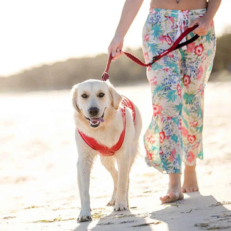 【人気商品】EZ リード ゼロショック 120cm EZYDOG