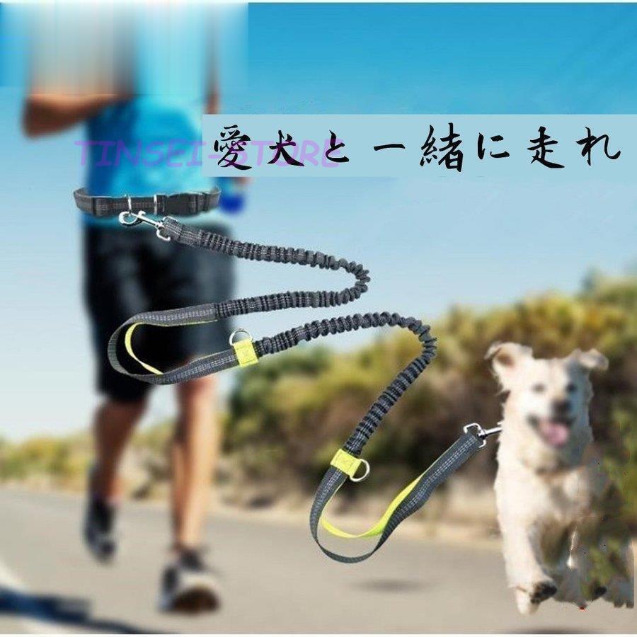 牽引ロープ ウエストベルト 犬用リード 伸縮 小中型犬 リード 弾力性が高く 腰ベルト付き 散歩用 反射機能付き ハンズフリー