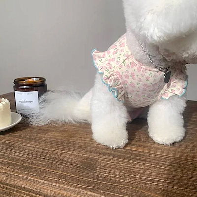 春夏新作 犬服 ペット服 犬 洋服 ペット 犬用品 小中型犬 ペット夏薄型犬猫子犬服