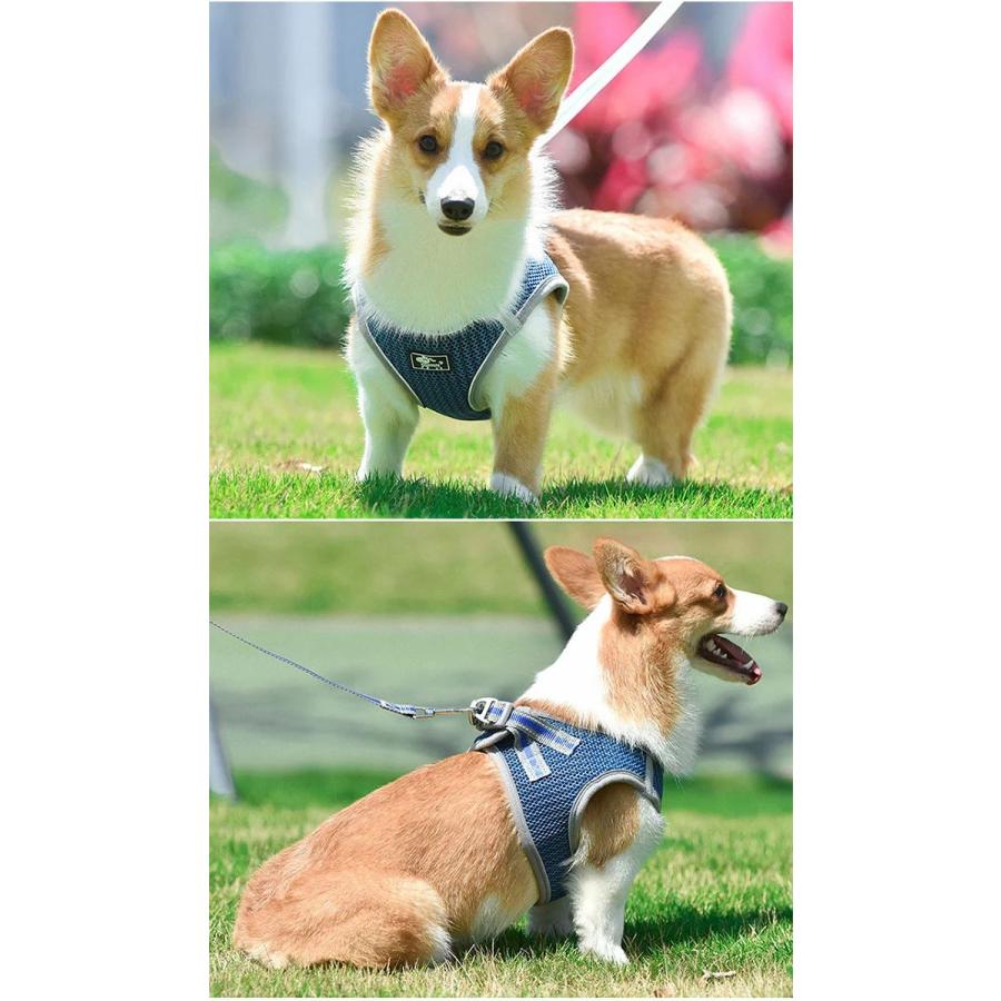 新商品プロモーション,数量限定 セラー犬 ハーネス リード付 ペット 服 ハニカムメッシュ ウェアハーネス 胴輪 キャット ドッグ メッシュセラー犬 ハーネス