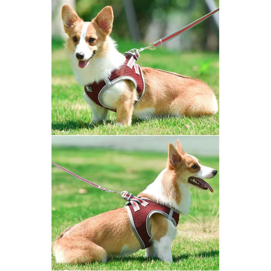 新商品プロモーション,数量限定 セラー犬 ハーネス リード付 ペット 服 ハニカムメッシュ ウェアハーネス 胴輪 キャット ドッグ メッシュセラー犬 ハーネス