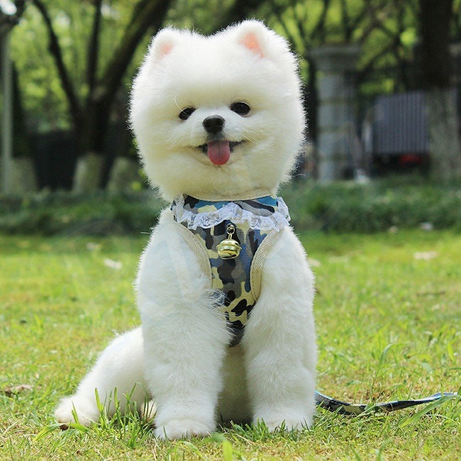 ペット用品犬の服犬用ハーネスリード3色カモフラージュストロベリーレースかわいいファッショナブルな安全482
