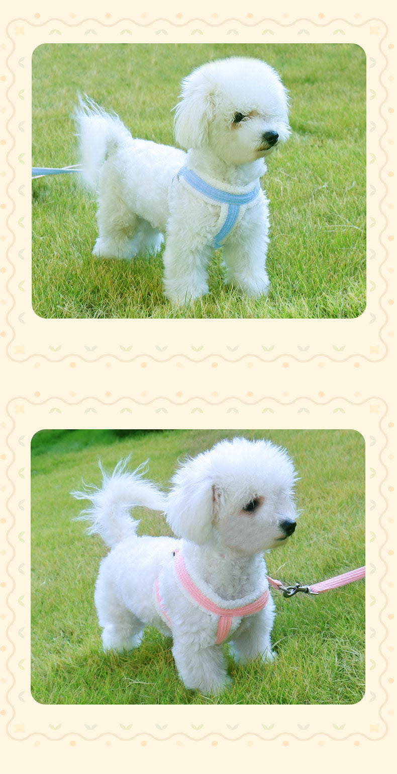 お出かけ 犬 簡単装着 ハーネスリードセット リード 135 おしゃれ シンプル ペット用品 胴輪 小型犬 ペットハーネス ハーネス リーシュ お散歩 2点セット 中型犬 犬用 犬用ハーネス 軽量 ネ