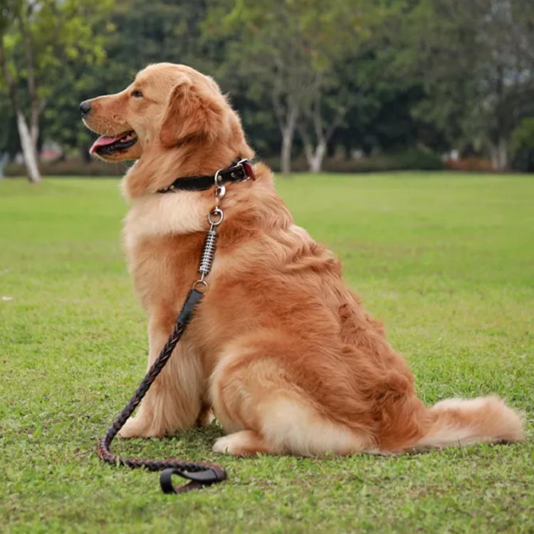 犬 大型犬 ハーネス オシャレ 首輪 リード ペットハーネス 中型犬 大型犬 ハーネスリードセット 2点セット ウェアハーネス 丈夫 犬用 編み風 脱出防止 調整可能 おでかけ シンプル 高品質
