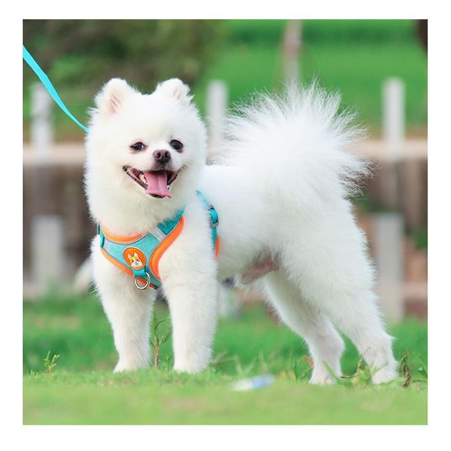 中型犬 簡単装着 犬 犬の 胴輪 小型犬 かわいい 脱げない 犬用 おしゃれ 大型犬 リード ハーネス
