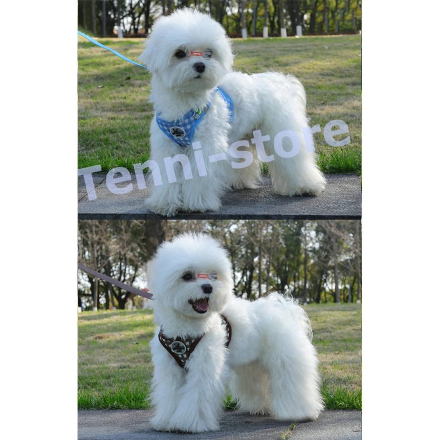 今週の新製品 タイムセール アウトレット 犬 猫 ハーネス 小型犬 中型犬 猫用 ネコ ウェアハーネス ハーネス&リードセット 犬ハーネス 抜けない 一体型 かわいい 簡単着脱 在庫が限られている在庫