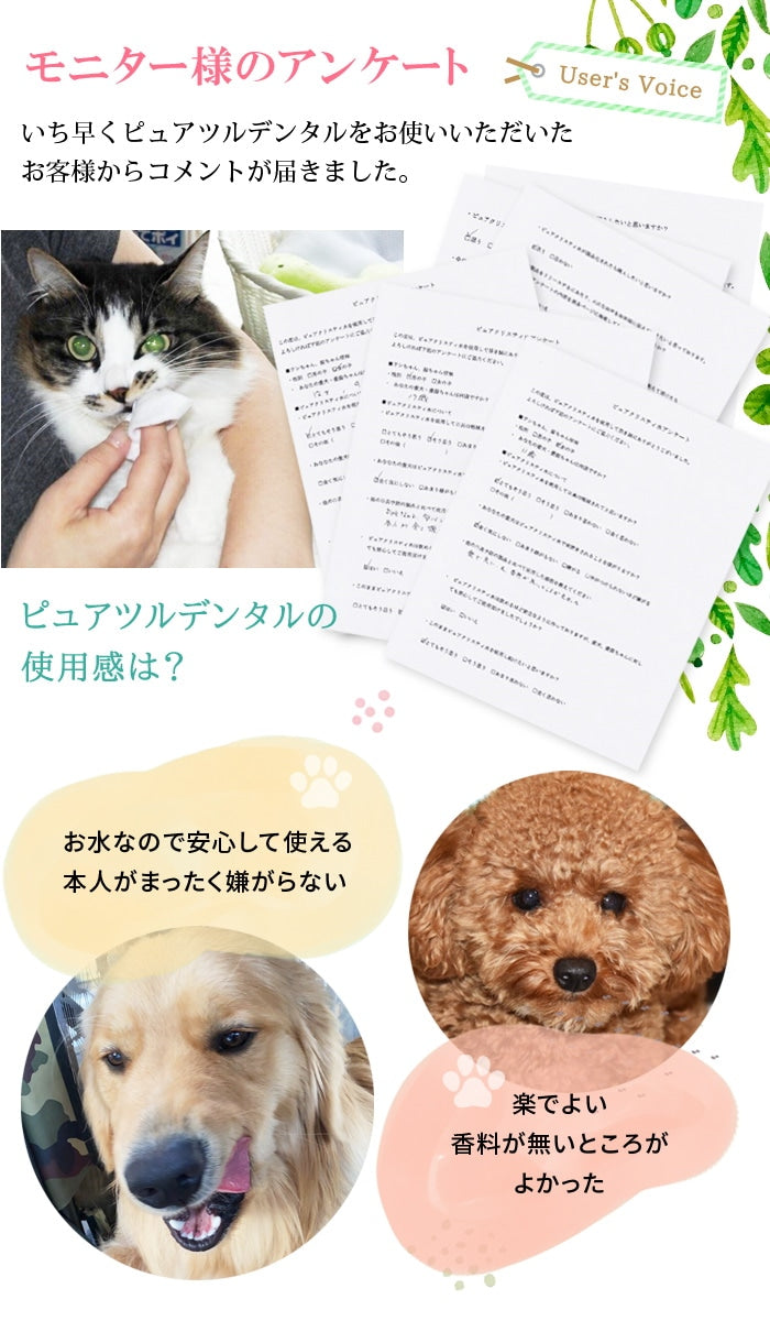 獣医推薦愛犬愛猫の歯垢歯石歯周病が塗るダケでツルツルな歯に!安心安全な100%天然由来!歯磨ジェル ピュアツルデンタル60m