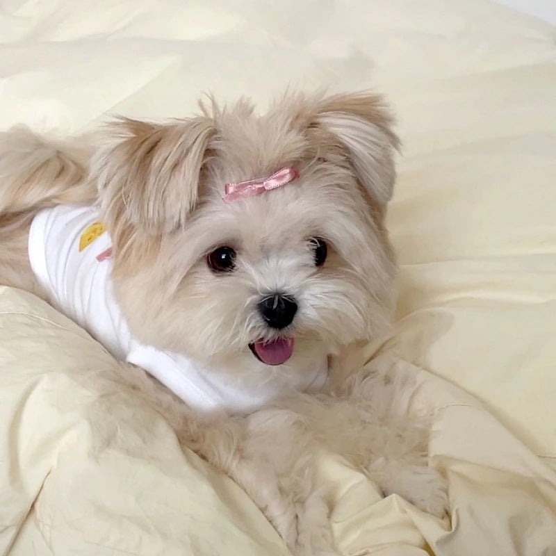 2025新作春秋 ペット服/犬猫服 犬 洋服/犬用品 /小中型犬 薄手ペットベスト子犬犬服
