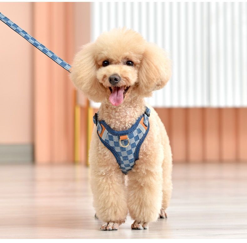 小型犬の胸のストラップの犬の牽引縄のテディは熊の貴賓の子犬より犬のひもの犬のチェーンを散歩します