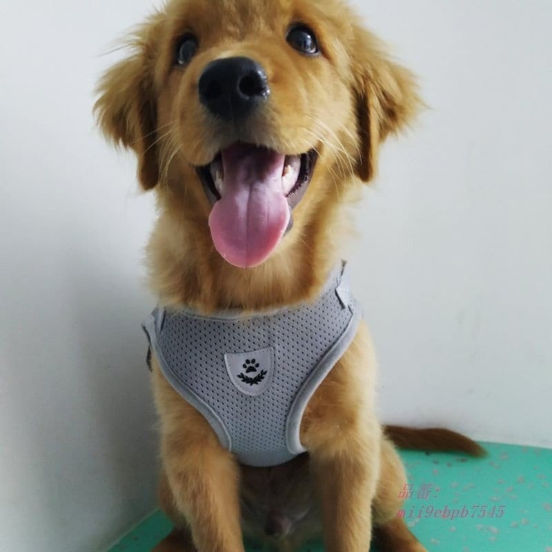 反射フレンチブルドッグパグ犬 ベストハーネスリードセット通気性ペットハーネス小中犬子犬猫ウォーキング